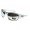 Oakley Asian Fit Sunglass white Frame black Lens,Oakley Sale Retailer