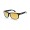 Oakley OO9102 HOLBROOK Black Gold Sunglass
